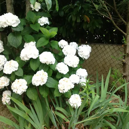 Frühstückspension Le Beausejour Carcassonne