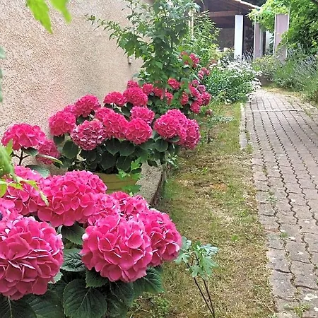 Le Beausejour Nocleg ze śniadaniem