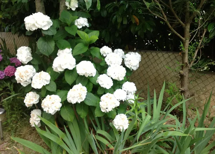 Couette-café Le Beauséjour Carcassonne